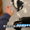 我的冤种铲屎官:奶牛猫  小奶猫的成长日记  撸猫第一视角  谁