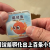 网购花不到5块钱买的魔法鱼卵，真的能孵化出小鱼吗
