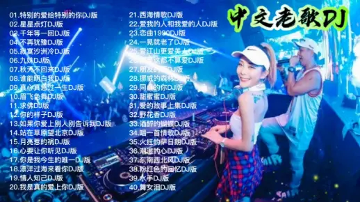 中文老歌DJ版合集40首，劲爆好听