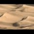 [道兰][NHK纪录片]阿尔金：青藏高原的神秘地带