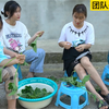 团队和越南3哥姐弟阿花姑娘家一起做饭吃