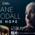 【世界地球日】珍妮·古道尔2020纪录片《希望》短片：重回根源（中英字幕）