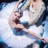 【芭蕾】【推荐向】个人心中24段最美经典芭蕾独舞