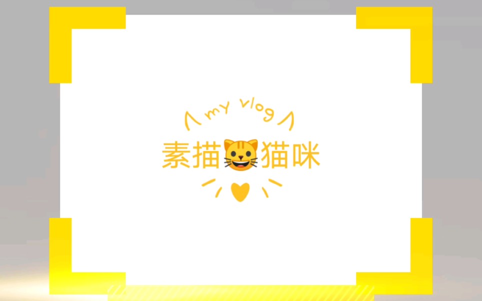 【猫】黑白猫?哔哩哔哩bilibili