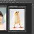 Adobe photo shop2018 课程