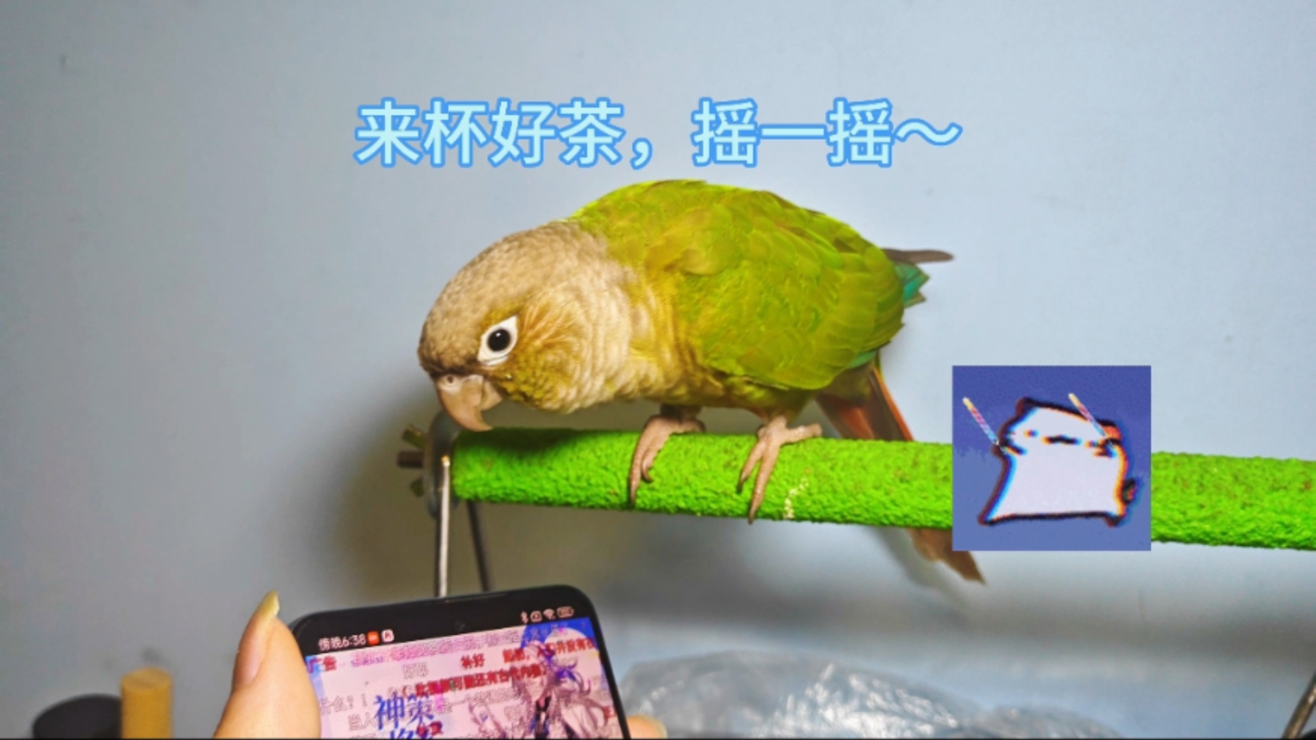 来杯好茶，摇一摇～