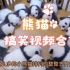 熊猫搞笑视频大合集。我们的国宝真的是太可爱了