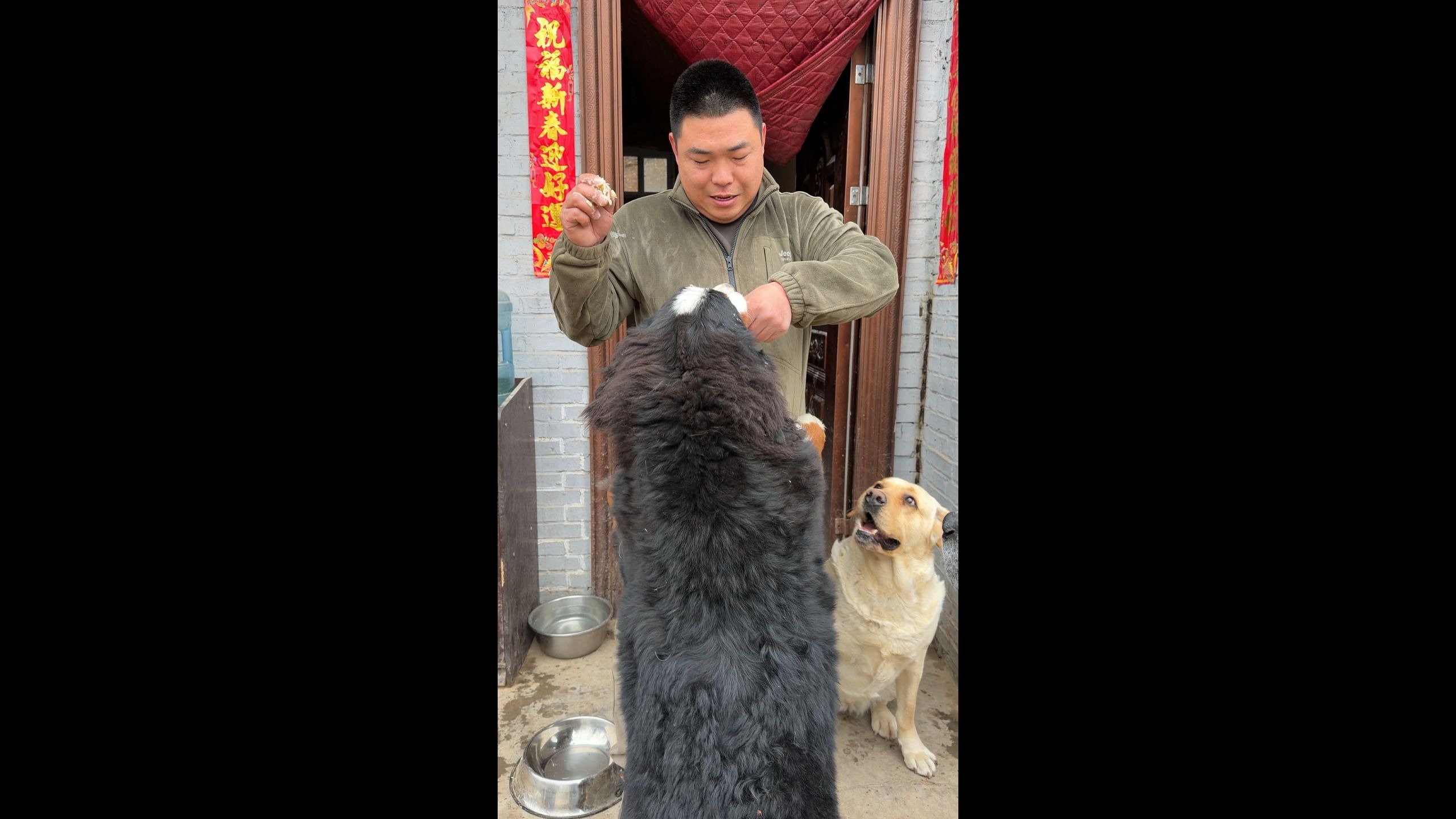 整整七天没见狗子们，我以为会有多想念，没想到还不如俩榴莲
