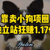 靠卖小狗项圈独立站，狂赚1.17亿