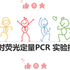 【实时荧光定量qPCR实验】诺唯赞官方操作