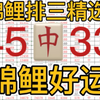 3月6日锦鲤排三五码精选方案已出