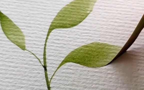 【水彩画入门必练】如何用一支笔画出顺滑的叶子，超治愈，ins:Monica Schick