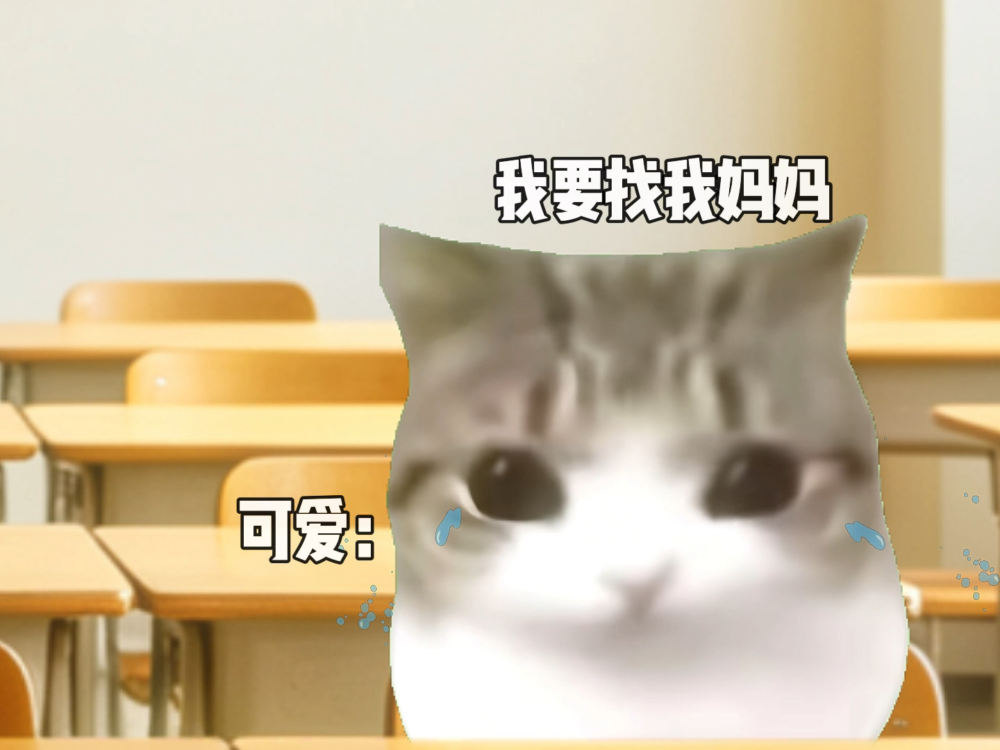 为什么小时候老师的脾气这么好？