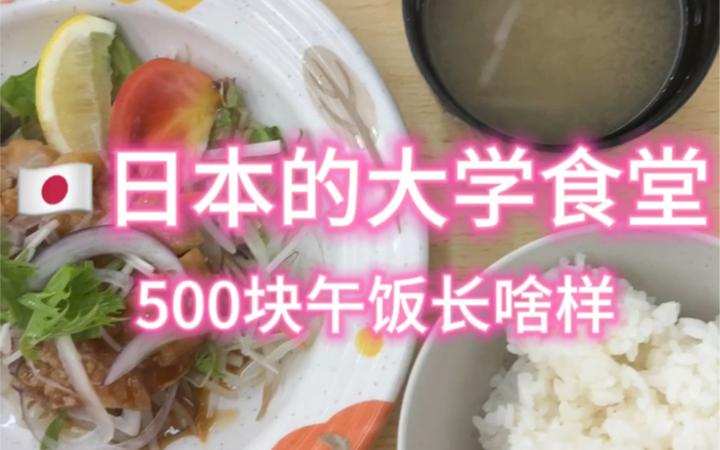 日本的大学食堂500块午饭长啥样