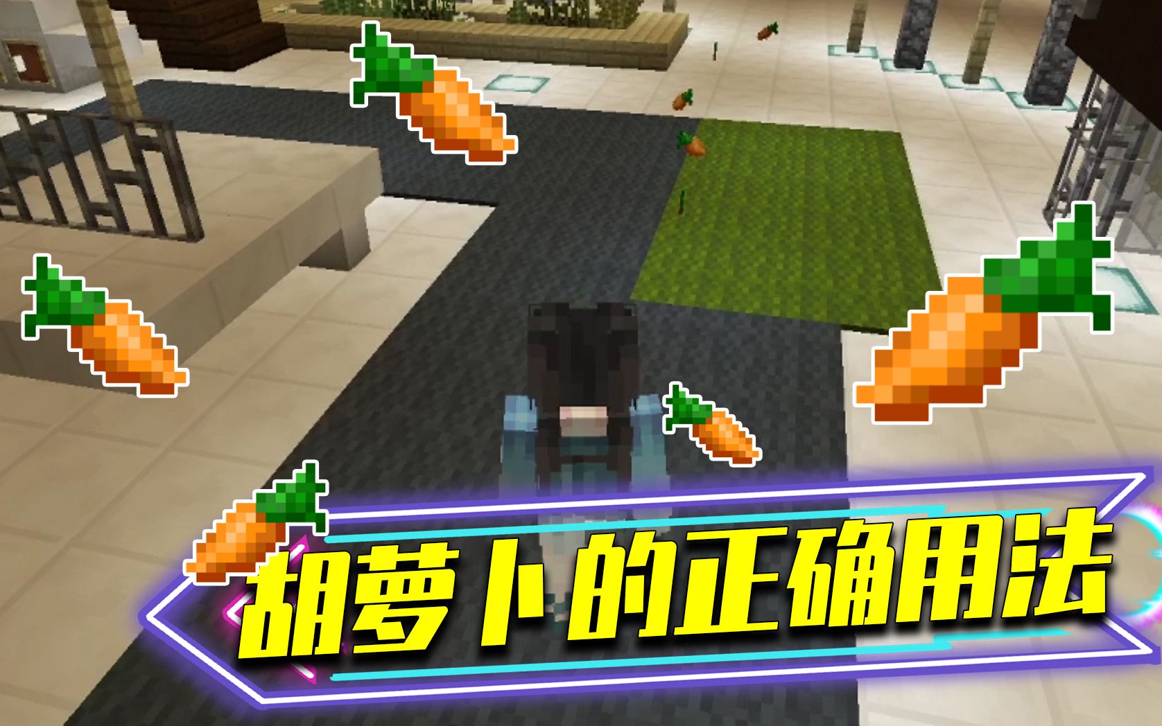 我的世界阿源使坏让灵儿拾起12根胡萝卜结果被灵儿制裁