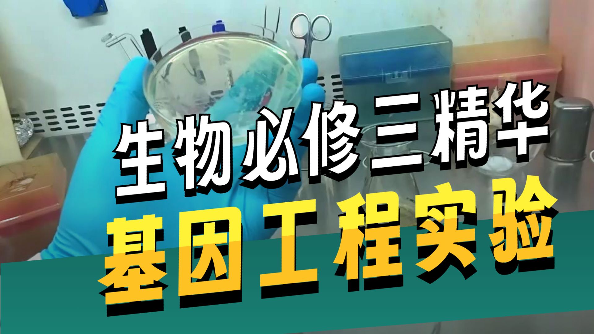 这就是生物选修三的基因工程实验吗？
