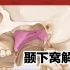 【解剖】3D颞下窝解剖动画来了！｜Infratemporal Fossa｜油管搬运｜双语字幕