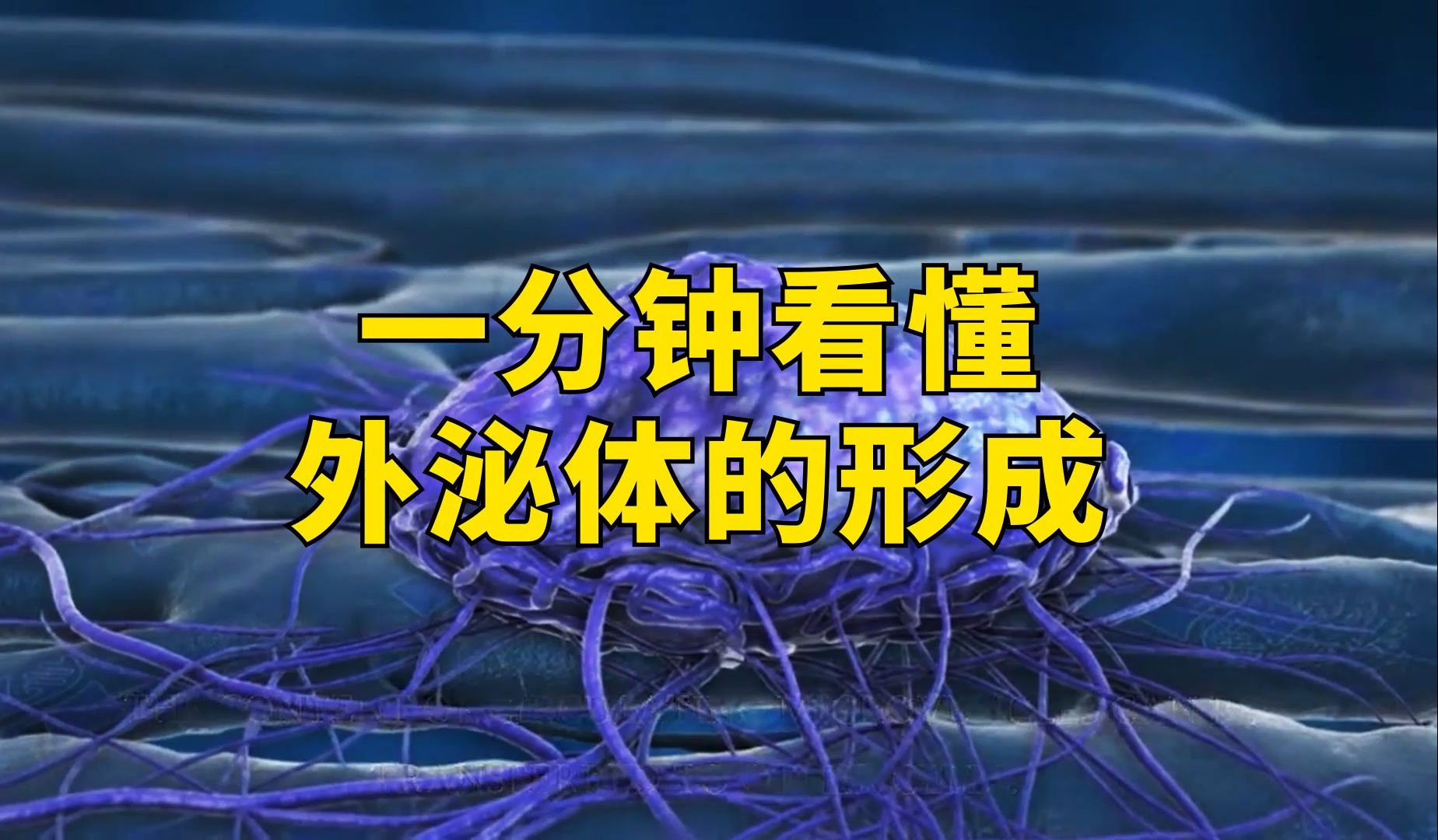 【小知识】一分钟看懂外泌体的形成
