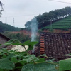 山村早晨.炊烟袅袅