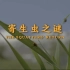 CCTV9  4K超清纪录片《寄生虫之谜》全1集  【胆小.慎入】