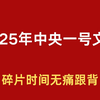 2025年中央一号文件 【 2025时政热点必学重要文件】碎片时间学习，磨耳朵