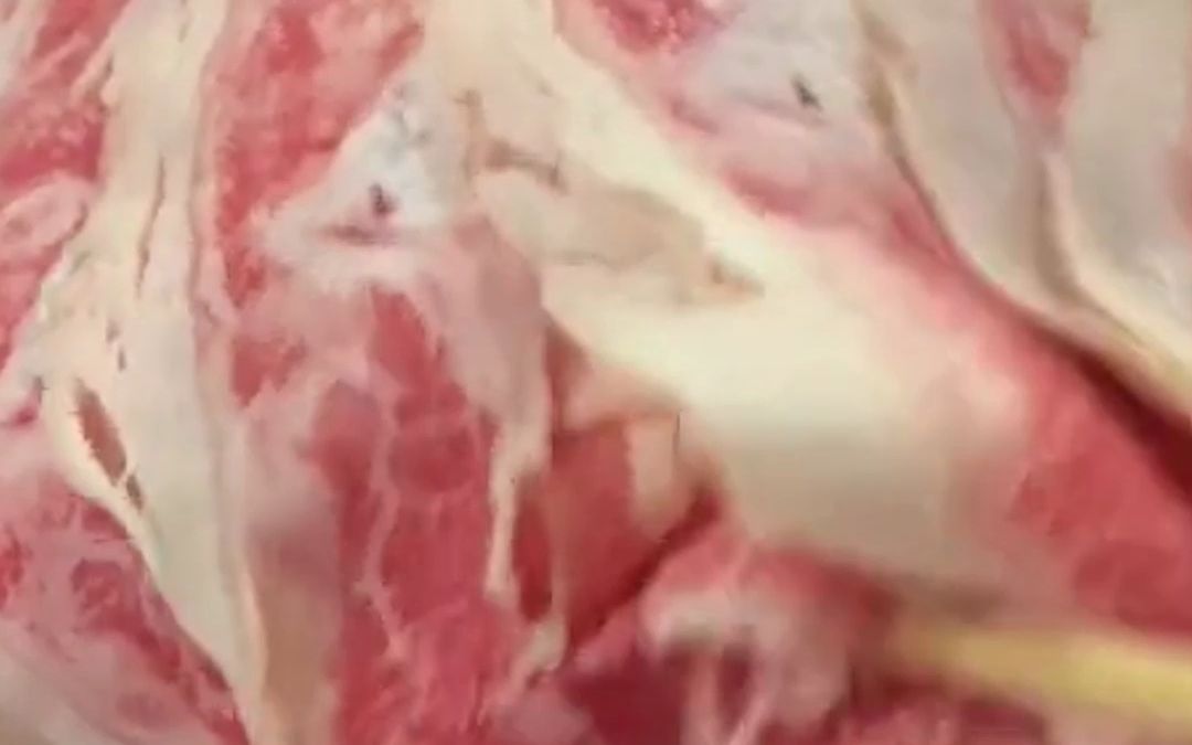 太羡慕！网友东北旅游发现火锅肉卷下面是实心的。“快来个北方人告诉我是不是真的”