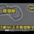 齐鲁健康：大快人心！身体的NK细胞快速击杀癌细胞！