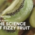 ChefSteps Nerd Alert - The Science of Fizzy Fruit | 气泡水果背后的科