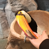 动物园里有什么