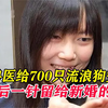 台湾女孩简稚澄将700只狗狗安乐死，因网暴，将最后一针留给自己