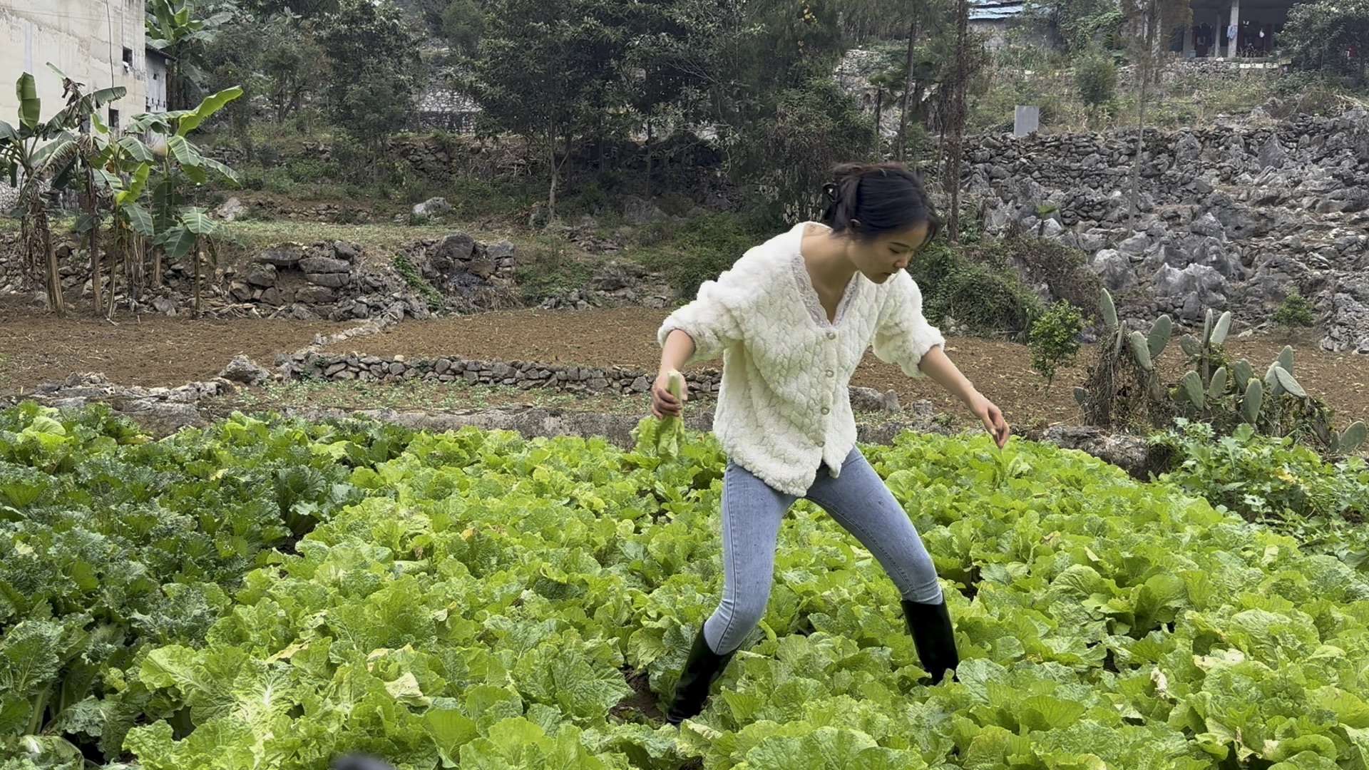 穿成这样来菜地里摘菜，还说我就是故意的，我到底哪里做错了