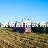 玉米收割视频素材【VJshi视频素材】