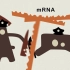 RNA干扰！RNAi_ Slicing, dicing and serving your cells - Alex Da