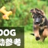 【狗DOG】运动参考Animation References