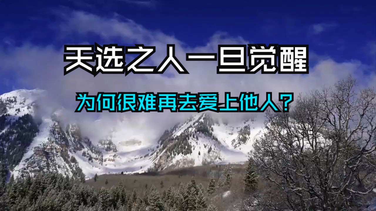 天选之人一旦觉醒，为何很难再去爱上他人？