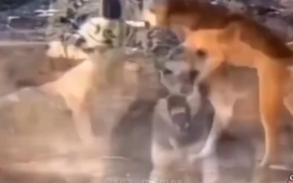 一加一大于二？