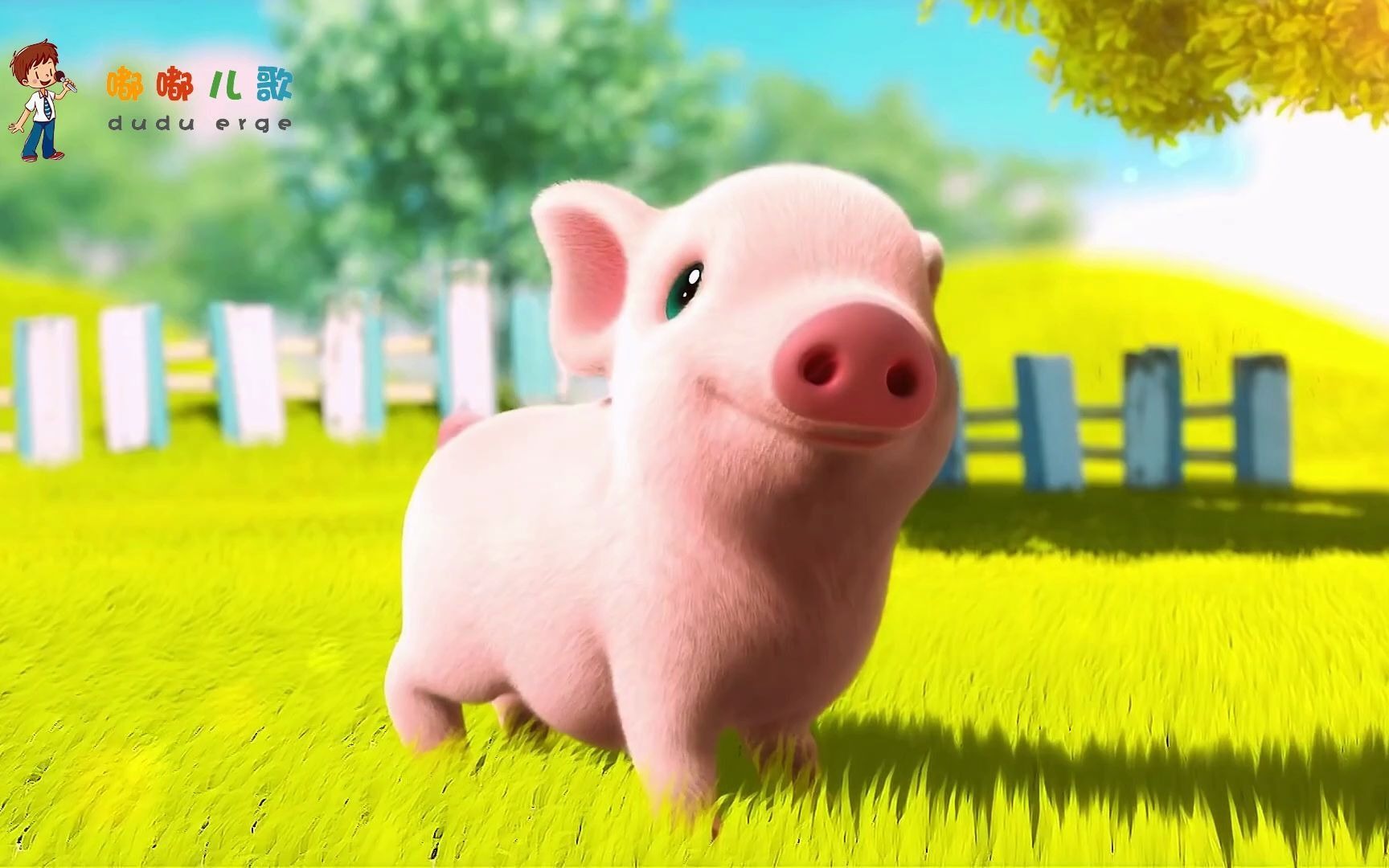 一只快乐的小猪，自由自在，让人羡慕！