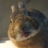 【豆皮】让小兔子帮你舔屏幕吧！激萌！