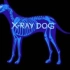 每日一推，x-ray dog freeflight，积极向上，鼓舞人心的纯音乐