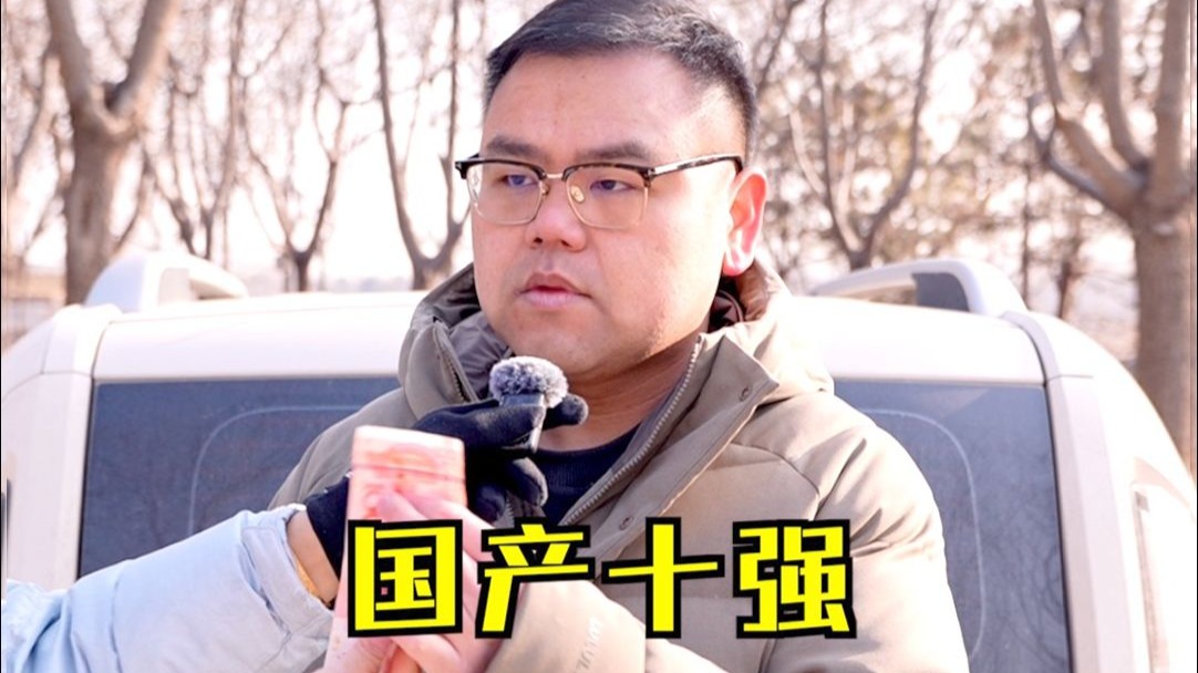 2025销量最好的十大国产车