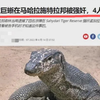 孟加拉巨蜥在马哈拉施拉邦被强奸，4人被捕