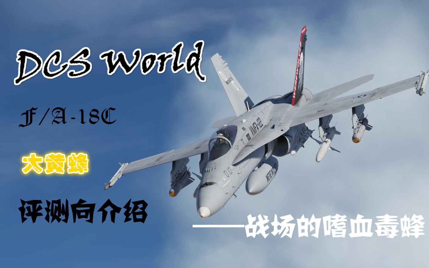 【评测向介绍】DCS World #F/A18C——战场的嗜血毒蜂