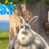 【Big Buck Bunny】开源影片/高清电视测试片_大雄兔 1080P/60fps
