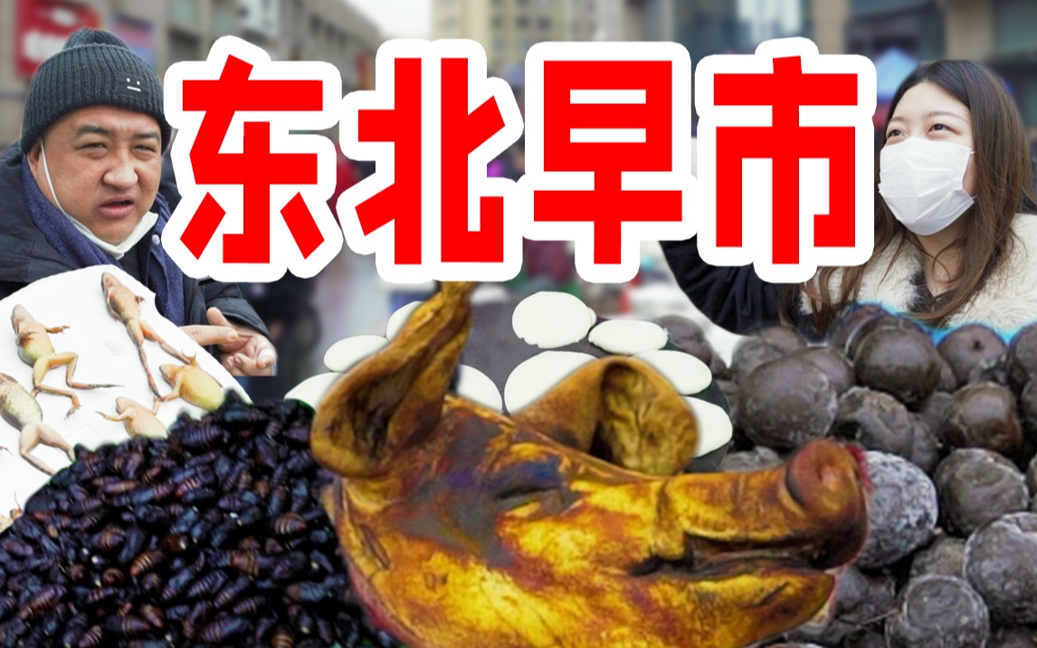 超豪横东北早市！130一斤的林蛙！蚕蛹、猪头、冻梨超实惠，嘎嘎好吃！