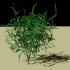 iBlender中文版插件tree-gen 教程与 Addon Salping Tree Gen 一起练习Blender