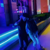 酒吧门口捡屎尸