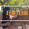 【旅行向】 爱吃草饼的鹿会追着你要喔