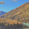 【橞眼看大陸】不只有維吾爾族! 哈薩克族在新疆的待遇 揭開耆老畢生守護的志業