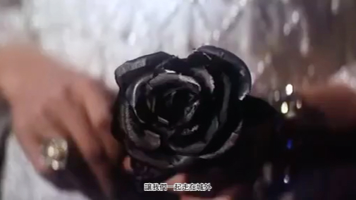 [中字]深作欣二指导黑玫瑰公寓 黒蔷薇の舘 (1969)the black rose mansion cut1哔哩哔哩bilibili