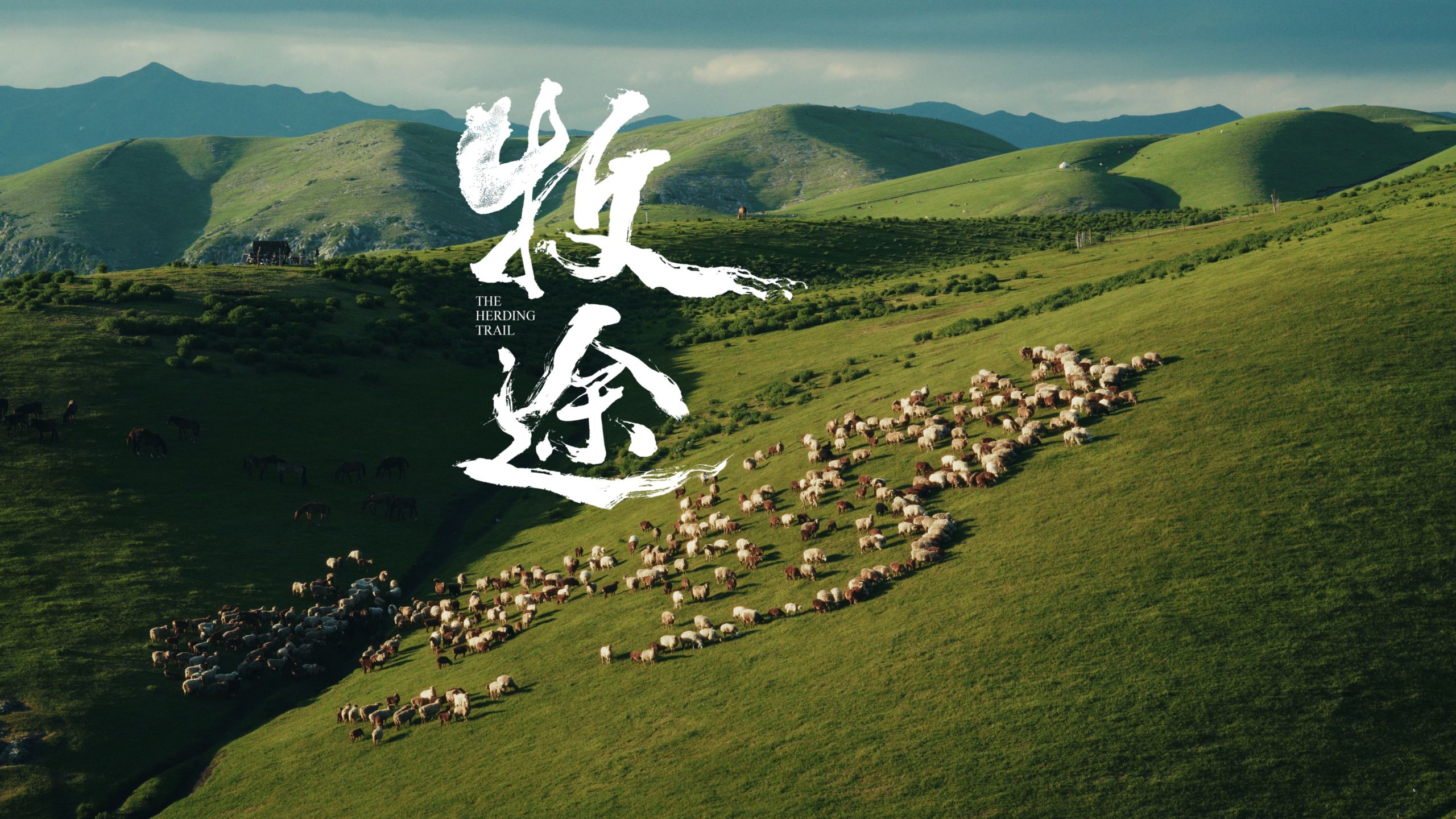 蔚来ES9「牧途」——我们本是迁徙的风，而非扎根的树。